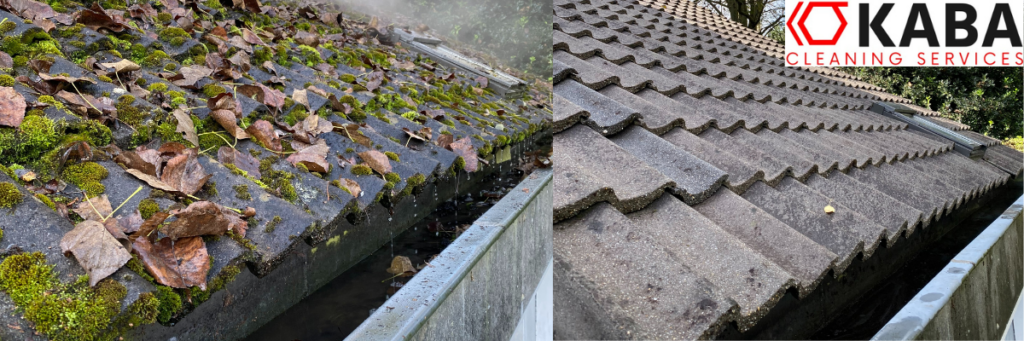 Ontmossing reiniging en impregneren van daken in Limburg